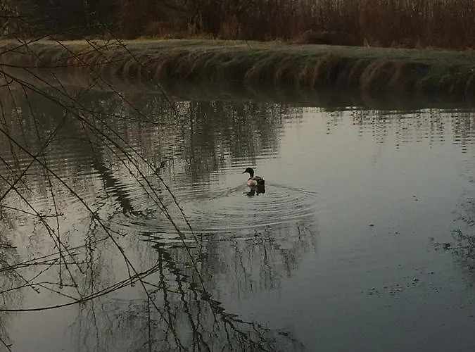 Hotel Le Chantoiseau
